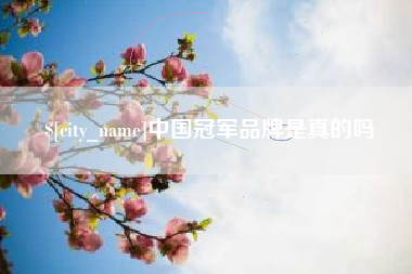 武安中国冠军品牌是真的吗