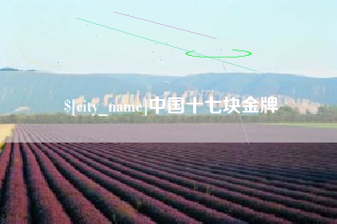 武安中国十七块金牌