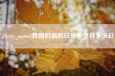 武安我国的消防日是多少月多少日