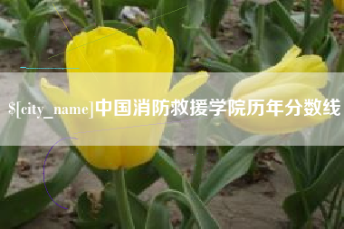武安中国消防救援学院历年分数线