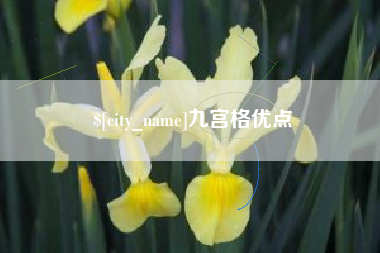 武安九宫格优点