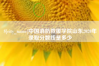 武安中国消防救援学院山东2020年录取分数线是多少