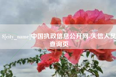 武安中国执政信息公开网-失信人员查询页