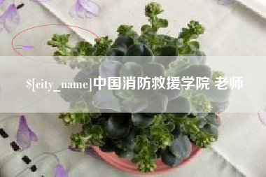 武安中国消防救援学院 老师