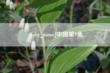 武安中国第9金