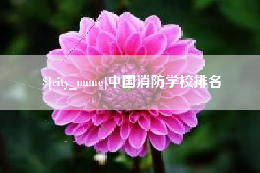 武安中国消防学校排名