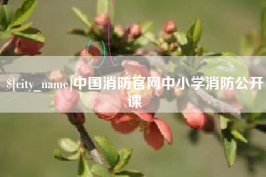武安中国消防官网中小学消防公开课