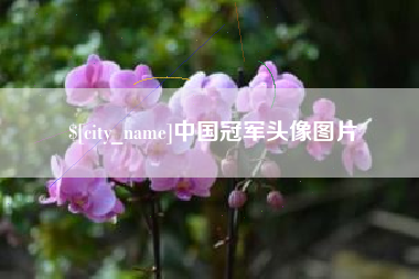 武安中国冠军头像图片
