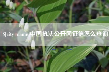 武安中国执法公开网征信怎么查询