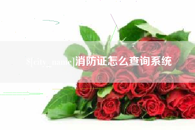武安消防证怎么查询系统