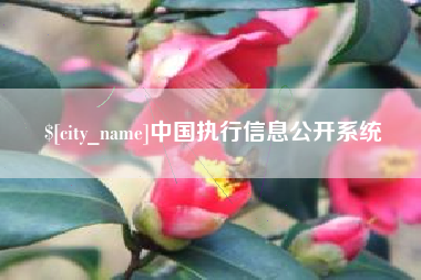 武安中国执行信息公开系统