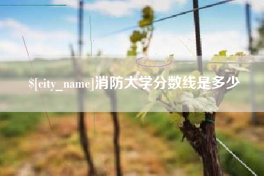 武安消防大学分数线是多少