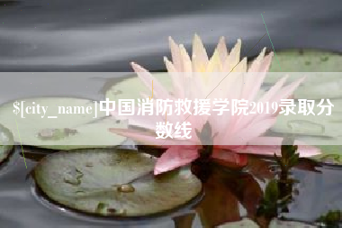武安中国消防救援学院2019录取分数线