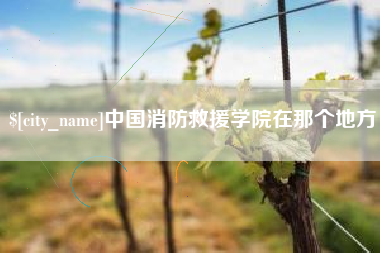武安中国消防救援学院在那个地方