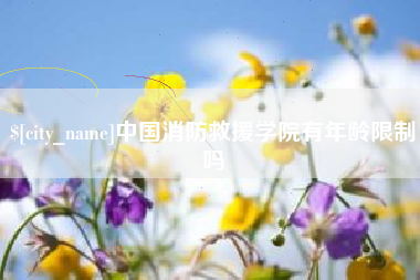 武安中国消防救援学院有年龄限制吗