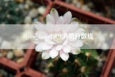 武安2021消防分数线