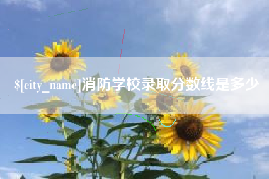 武安消防学校录取分数线是多少