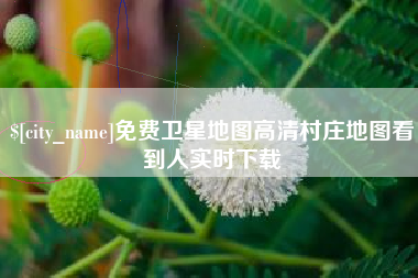 武安免费卫星地图高清村庄地图看到人实时下载