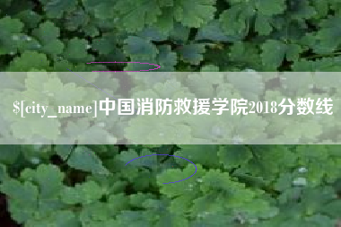 武安中国消防救援学院2018分数线