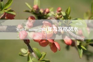 武安2021年九宫格风水