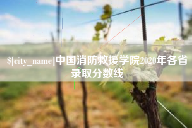 武安中国消防救援学院2020年各省录取分数线