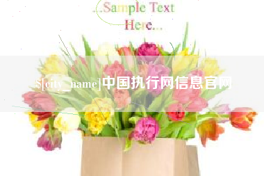 武安中国执行网信息官网
