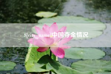 武安中国夺金情况