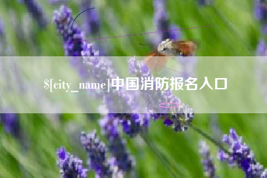 武安中国消防报名入口