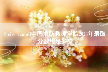 武安中国消防救援学院2024年录取分数线是多少