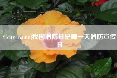 武安我国消防日是哪一天消防宣传日