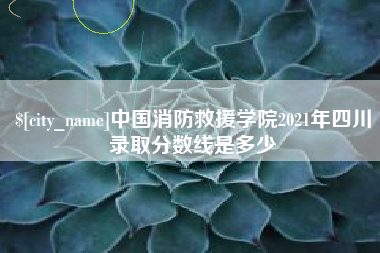 武安中国消防救援学院2021年四川录取分数线是多少