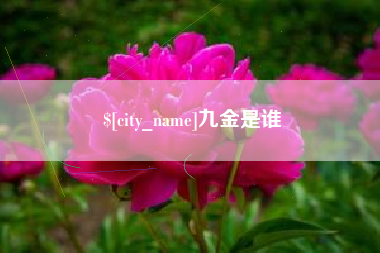 武安九金是谁