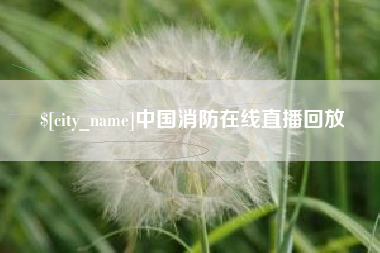 武安中国消防在线直播回放
