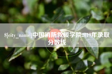 武安中国消防救援学院2019年录取分数线