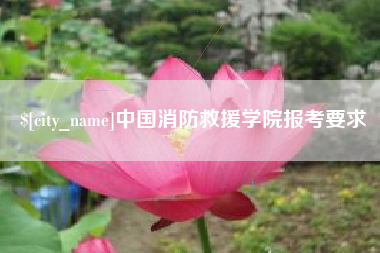 武安中国消防救援学院报考要求