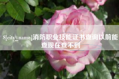 武安消防职业技能证书查询以前能查现在查不到