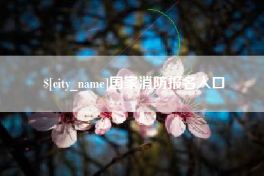 武安国家消防报名入口
