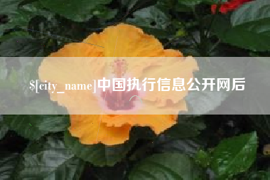 武安中国执行信息公开网后