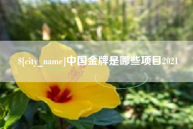 武安中国金牌是哪些项目2021