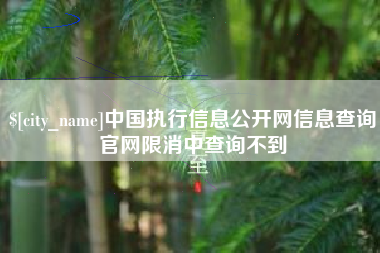 武安中国执行信息公开网信息查询官网限消中查询不到