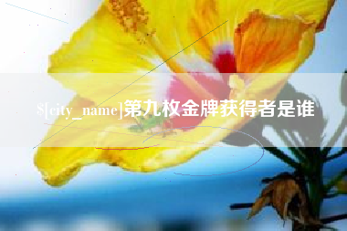 武安第九枚金牌获得者是谁