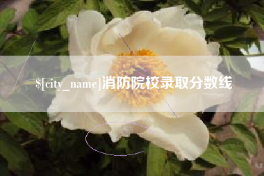 武安消防院校录取分数线