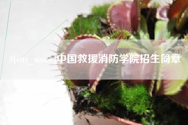 武安中国救援消防学院招生简章