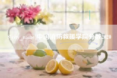 武安中国消防救援学院分数2020