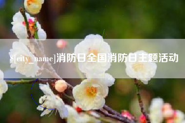 武安消防日全国消防日主题活动