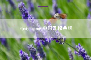 武安中国九枚金牌