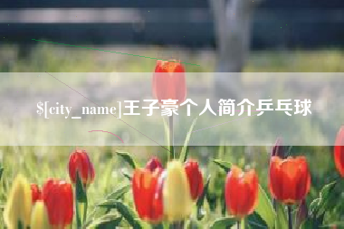 武安王子豪个人简介乒乓球