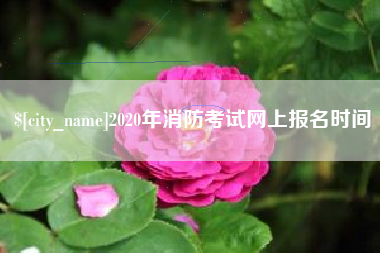 武安2020年消防考试网上报名时间