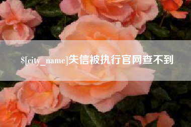 武安失信被执行官网查不到