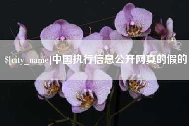 武安中国执行信息公开网真的假的